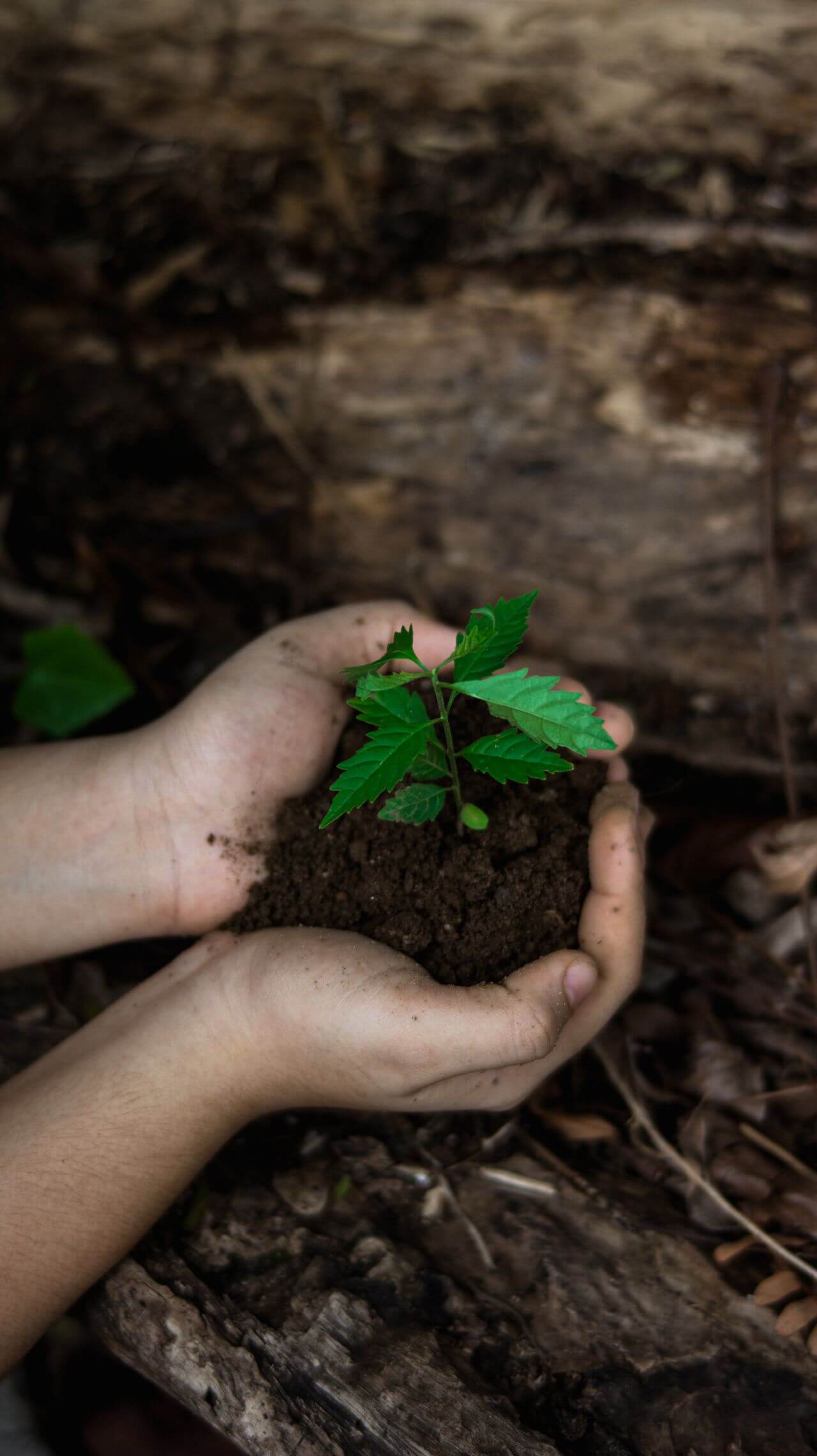 Evaluación, vigilancia y seguimiento ambiental Evaluación, vigilancia y seguimiento ambiental