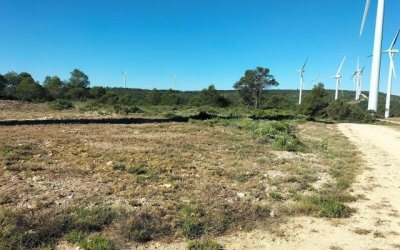 Parques eólicos y línea de evacuación en fase de funcionamiento