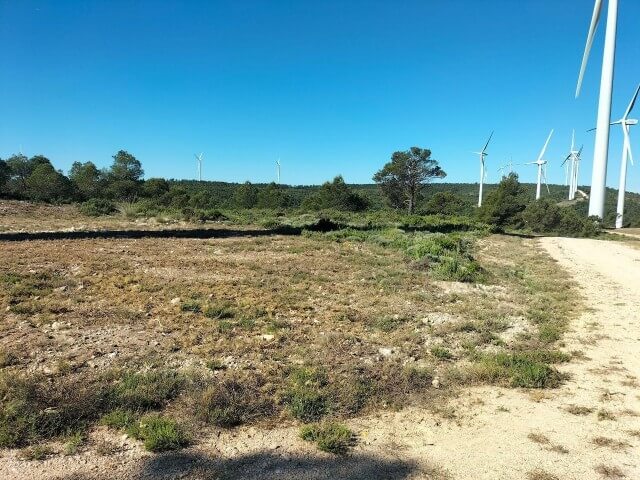 Parques eólicos y línea de evacuación en fase de funcionamiento